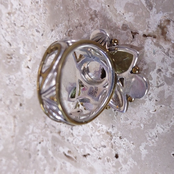 Echo Of The Dreamer Ring by Margaret Thurman - Picture 8 of 15